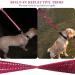 Vivaglory Short Dog Leash - 61 cm Traffic Leash for Medium to Large Dogs | Durable Red Training Line - Buy Online on GoSupps.com