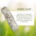 Bulk White Sage Smudge Sticks (3 Pack) - Organic Sage Bundles for Cleansing and Stress Relief | Wholesale | Sustainably Grown - Buy Online on GoSupps.com