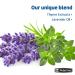 De La Cruz Soothing Balsam Massage Oil (Balsamo Tranquilo) - 2 FL OZ - Made in USA - Buy Online on GoSupps.com