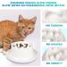 Slow Feeder Cat Bowl by SherryJerryGarry - Interactive Puzzle for Preventing Bloat | Easy to Clean & Dishwasher Safe | Ideal for Pet Dog Feeding - Buy Online on GoSupps.com