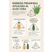 Aloe Vera Gel. Skin care. Body Lotion Body Milk ((77% Jugo puro Aloe Vera) con aceite de Coco Salvia y Melisa. Pure organic aloe vera gel. (3.4 Oz) 3.4 Fl Oz (Pack of 1) - Buy Online on GoSupps.com