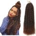 Passion twist hair 7 packs 18-inch water shaft hair for long Bohemian hair lichen from hair yddm passion twist crochet hairenhetic hair extensions (T1b-30# 7pack-18inch) T1b-30inch (7 Pack)