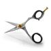 BRV MEN Professional German Steel Hammer Forged Moustache & Beard Scissors - 14cm (5.5") - 100% Stainless Steel - Razor Sharp Facial Hair Trimming Shears (Right Handed - Silver)