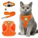 Zhenle cat dishes breakout with cat leash adjustable reflective cats dishes set with leash orange cats contain collars and breast dishes (XS)