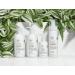 Paul Mitchell Tea Tree Scalp Care Anti-Thinning Tonic 3.4 FL. OZ. - Lightweight formula for hair loss prevention - 100 ml - Buy Online on GoSupps.com