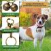 Whimsii Dog and Cat Collar with Bell - Stylish Silver Pet Accessory | International Shipping Available - Buy Online on GoSupps.com