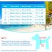 4 Pack Flower Pattern Summer Shirts for Small to Medium Dogs & Cats - Stylish Beach Clothing for Pets - Buy Online on GoSupps.com