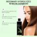  BRVLY Rosemary Shampoo with Hydrolyzed Keratin - Rosemary Hair Growth Shampoo for Women Shampoos for Men and Women Travel Size (3) - Buy Online on GoSupps.com