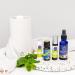 Absolute Aromas Breatheasy Room Spray 100ml - Tea Tree & Peppermint Essential Oil Blend - Buy Online on GoSupps.com