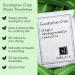 Eucalyptus Crisp Scented Moist Towelettes - Alcohol-Free Plant-Based Travel Size Wipes (20 Count) by Nabila K - Eco-Friendly Bamboo Case - Buy Online on GoSupps.com