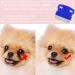Flea Combs for Cats & Dogs - 2-Piece Professional Lice Comb Set | Effective Against Fleas & Lice for Short-Haired Pets - Buy Online on GoSupps.com
