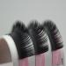 Shop Faux Mink Eyelash Extensions 0.10 D 8-15mm | Qeelasee Volume Lash Extensions - International Shipping Available - Buy Online on GoSupps.com
