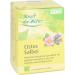  Salus Salus Bio Cistus Sage Tea 15 Bags - Buy Online on GoSupps.com