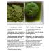 Organic Frozen WOW Wheatgrass | Unpasteurized, Alkaline, No Powder | Grown and Packaged in USA - Buy Online on GoSupps.com