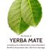Infuse Yerba Mate Radiance Eye Cream | Dark Circle Defense & Puffiness Reduction for Mature Skin - Shop Internationally Now - Buy Online on GoSupps.com