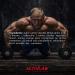 Activlab BCAA Xtra Orange Drink 330ml - 24 Pack | Zero Sugar Amino Acid Energy & Recovery - Buy Online on GoSupps.com