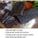 The Biltong Man Nice n Spicy Fatty (500 Grams) 500 Grams - Buy Online on GoSupps.com