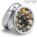 Shop Portable 3 Compartment Travel Pill Box | Stylish Stones & Bugs Design - Small Pill Organizer for Handbag & Pocket - Buy Online on GoSupps.com