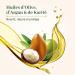 LE PETIT OLIVIER - Eco-Refill Shampoo Cream Nutrition Care - Olive Shea & Argan Oils - Nourishes & Repairs - Dry & Damaged Hair - Silicone-Free Sulfate-Free - Made in France - 500ml - Buy Online on GoSupps.com