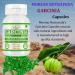 Natural and Pure Herbal Garcinia CAMBOGIA (Garcinia) Extract Capsules | Highest Potency 100% Herbal Product | Pack of 60 X 500 mg. Veg. Capsules (Pack of 1 Jar) 60 Count (Pack of 1) - Buy Online on GoSupps.com
