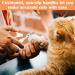 QttvbTna Pet Nail Clipper Cat and Small Animals Claw Scissors with Positioning Hole Pet Nail Trimmers Nail Scissors Pet Nail Grooming Clipper for Cat Tiny Dog Rabbits Birds and Other Small Animals - Buy Online on GoSupps.com
