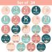 Floral Baby Monthly Milestone Stickers for Newborn Girl | Set of 24 Baby Girl Month Stickers - Buy Online on GoSupps.com
