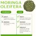 Organic Moringa Leaf Tea 375g Loose Cut Leaves Moringa Oleifera Premium Herbal Tea Caffeine-Free Versatile Herb for Tea & Culinary Use | DRAGONFLY HERBS - Buy Online on GoSupps.com