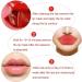 Generic Lip Masks in Case Lip Balm Lip Plumping Serum Lip Patches Moisturising Lip Sleep Masks Reduce Lip Lines Restores Lip Moisture Lip Masks Rose - Buy Online on GoSupps.com