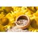 Buy Boill Sunflower Seeds (Peeled) - Premium 10 kg | Certified for Baking Bread - International Shipping Available - Buy Online on GoSupps.com