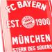 FC Bayern Munich Metal Sign Set Premium Quality Decor for Fans | International Shipping Available - Buy Online on GoSupps.com