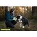 Buy Bonameco Slip Mat for Dogs & Cats - Lick Mat for Healthy Digestion Anti-Slip Easy to Clean Large Green - International Shipping Available - Buy Online on GoSupps.com