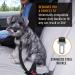 Active Pets Dog Car Harness - Seatbelt for Cars & Trucks - Tether Belt for Small & Large Dogs (Blue) - Buy Online on GoSupps.com