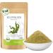 Kelp powder ORGANIC 200 g I Kelp from controlled organic cultivation I 100% natural - best raw food quality from bioKontor