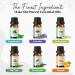 Top 6 Essential Oils Set for Aromatherapy - Eucalyptus Lavender Orange Peppermint Tea Tree (10ml) - Ideal for Diffusers Humidifiers Candle Making - Perfect Home Gift - Buy Online on GoSupps.com