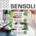 Buy Sensoli Almond Carrier Oil - Premium Quality Vegetable Oil for Skin & Hair - International Shipping Available - Buy Online on GoSupps.com