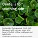 ONE THING Centella Moisturizing Sunscreen | CICA Soothing & Hydrating UV Protection | Reef-Friendly Mineral Cream for Sensitive Skin | Korean Skincare 1.69 Fl Oz - Buy Online on GoSupps.com