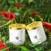 Buy Car Air Freshener Diffuser - Long Lasting Fragrance & Deodorizer for Cars & More | 9658A - Buy Online on GoSupps.com