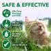 Vet's Best Flea Treatment - 8 Ounces - Buy Online on GoSupps.com