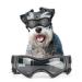 NAMSAN Dog Goggles Medium Anti UV Glare Dog Sunglasses for Small to Medium Dogs Motorcycle Glasses Adjustable Doggy Protective Eyewear, Cool Black