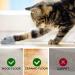 Interactive Electric Play Mouse for Cats | USB Cat Toy - Engaging Mice to Combat Boredom - Buy Online on GoSupps.com