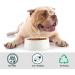 XILMARK (4 + 4) Can Covers Pet Can Lids 800 & 400 Grs Can Lids for Tins Plastic Lids for Tin Cans Can Tops Covers Can Cover Dog Food Cat Food Can Lids Pet Food Can Lids Reusable Can lids - Buy Online on GoSupps.com