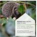 Wildlife Home Igel Feed - Grain-Free 1kg Hedgehog Food with Insect Protein | Optimal Energy Supply & Species-Appropriate Nutrition - Buy Online on GoSupps.com