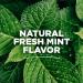 Tom's of Maine Natural Toothpaste & Mouthwash Variety Pack | Fluoride, Peppermint & Fresh Mint - 3-Pack - Buy Online on GoSupps.com
