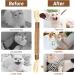 Dacitiery Cat Silvervine Chew Sticks Cat Toys Natural Cat Teeth Nip Cleaning Teeth Chew Catnip Toys for Indoor Cat Teeth Cleaning Kitten Teething and Stress Release (3 Style 6 Pack) - Buy Online on GoSupps.com