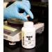NutraBio Tongkat Ali LJ 100 - 200mg Capsules for Muscle Mass Strength & Performance - 60 Servings - International Shipping Available - Buy Online on GoSupps.com