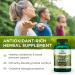 Swanson Olive Leaf Extract 500mg - 120 Capsules | Immune Support & Antioxidant - Buy Online on GoSupps.com