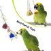 6-Pack Bird Parrot Swing Ladders & Chewing Toys - Cage Accessories for Small Parakeets, Cockatiels, Lovebirds, Conures, Macaws, Finches - Buy Online on GoSupps.com
