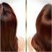 Pantene Cleanse & Reconstruct Shampoo - 250ml | For Greasy Roots & Damaged Lengths | Nourishing & Cleansing Formula with Pro-V Blend - Buy Online on GoSupps.com
