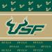 Westrick South Florida Bulls Party Supplies - Serves 16 (48 pieces) - Buy Online on GoSupps.com