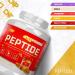CNP Professional Peptide High Protein 48g Premium Timed Release Protein Blend Micellar Casein Digestive Enzymes 2.2Kg 6 Flavours Available (Vanilla) New Vanilla - Buy Online on GoSupps.com